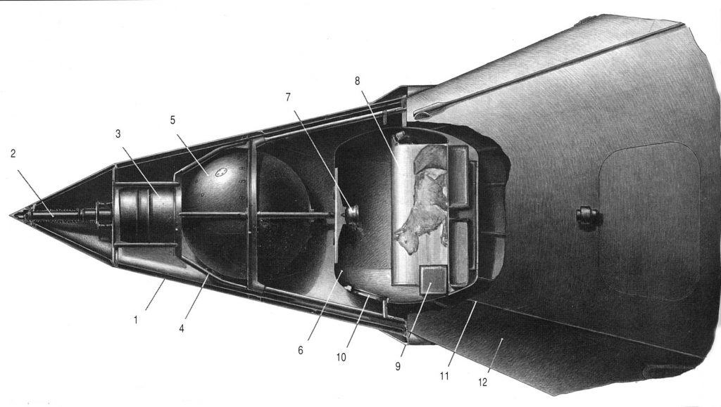 Sputnik ve Laika: Uzay Serüveninin Başlangıcı 2 Sputnik II. Uydusu Uzaya Giden İlk Hayvan Olan Laika'yı da Taşıyordu