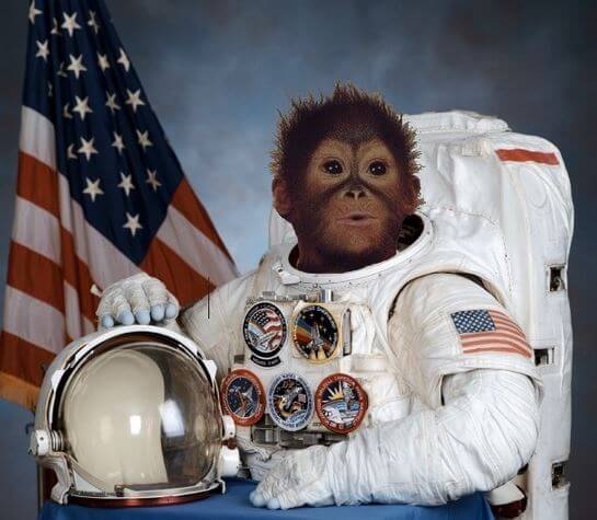 Avrupa'da Yaşanan Kuraklık Tuna Nehrinde Nazi Savaş Gemilerini Ortaya Çıkardı 4 space monkey