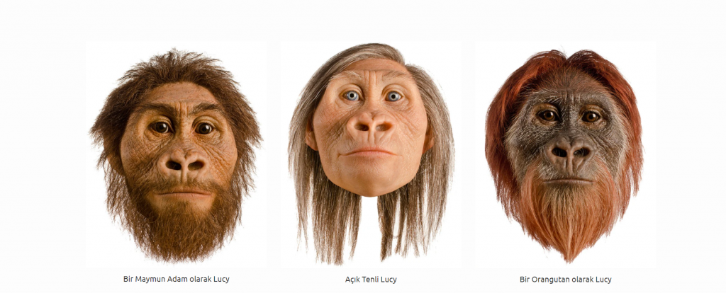 Lucy : Bir Hominid'in Hikayesi 1 Ekran Goruntusu 54