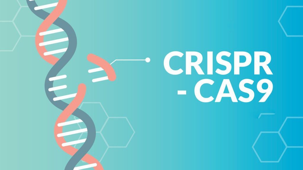 CRISPR-Cas9 Teknolojisi: Genetik Mühendislikteki Devrim 1 evrimagaci.org public content media 0967a48b2ce31d8ba74a7ec9b1118665